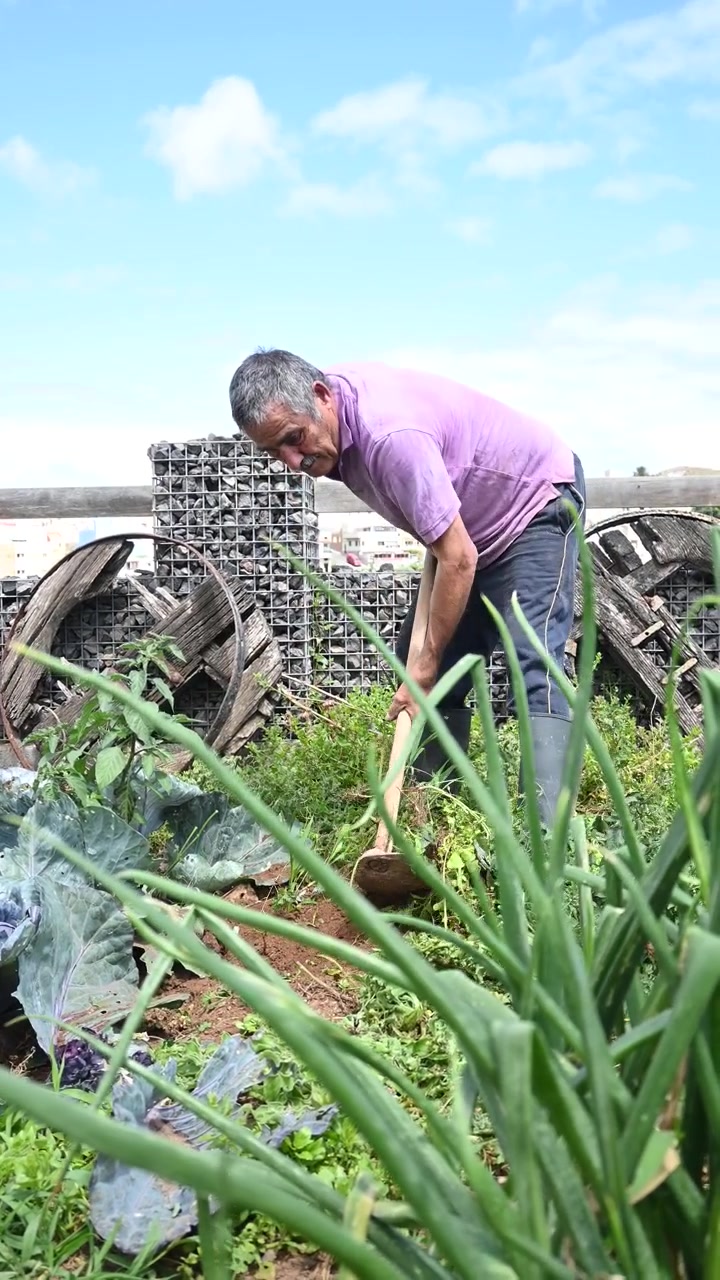 Agricultor Idoso Trabalhando a Terra.