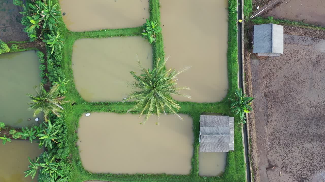 vista aérea de los arrozales en terrazas y los estanques de peces