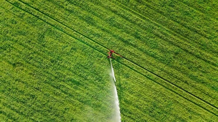 Ripresa aerea dall'alto con drone che si alza e ruota sopra un irrigatore rosso che annaffia un campo verde lussureggiante, mostrando l'agricoltura moderna, la tecnologia di irrigazione e l'agricoltura sostenibile.