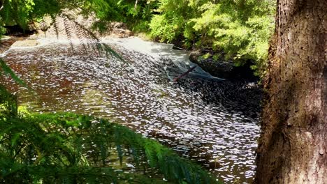 Reddish-river-with-foam-from-detergent-contamination,-Chiloé-tepuhueico-park,-affected-natural-environment