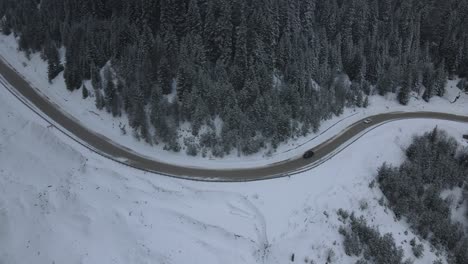 Curva-Del-Bosque-Nevado