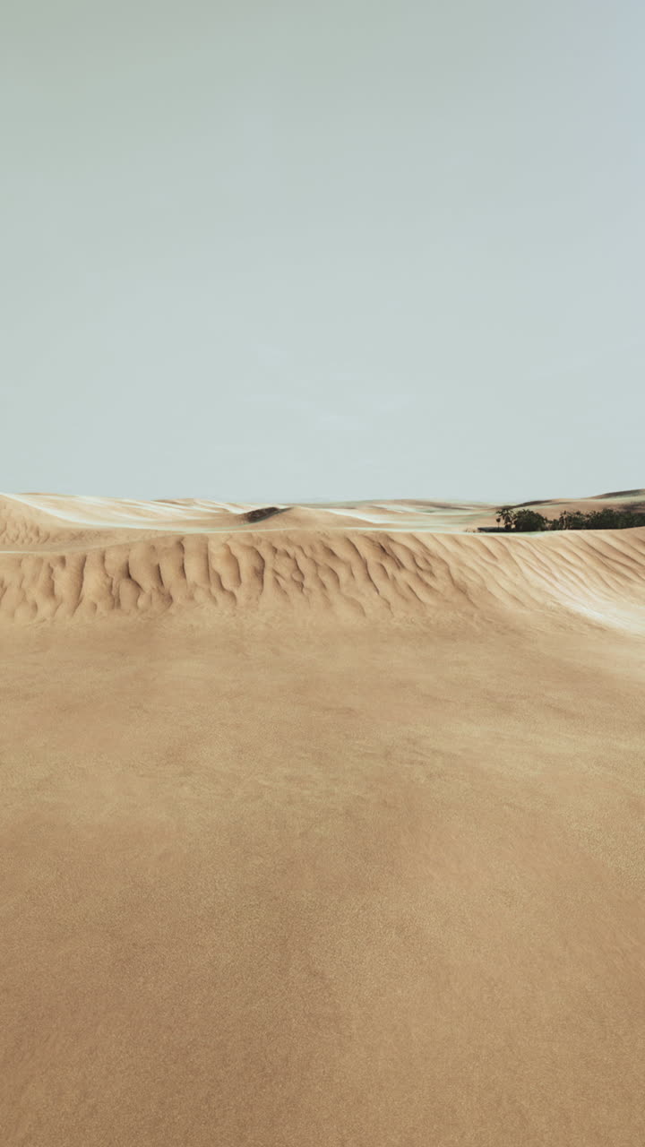 dunas de arena del desierto bajo un cielo azul