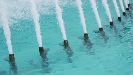 a row of water jets in a fountain