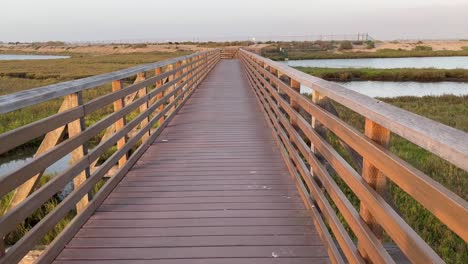 walking slowly over bridge through marsh