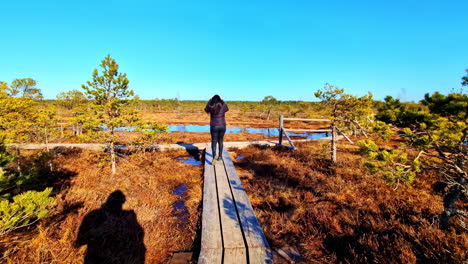 hermosa mujer caminando por un camino de madera que conduce a través de los pantanos en un día soleado, de vuelta seguir la vista