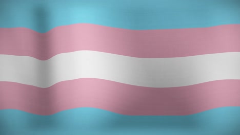 animation of lgbt flag with trans pride colours waving