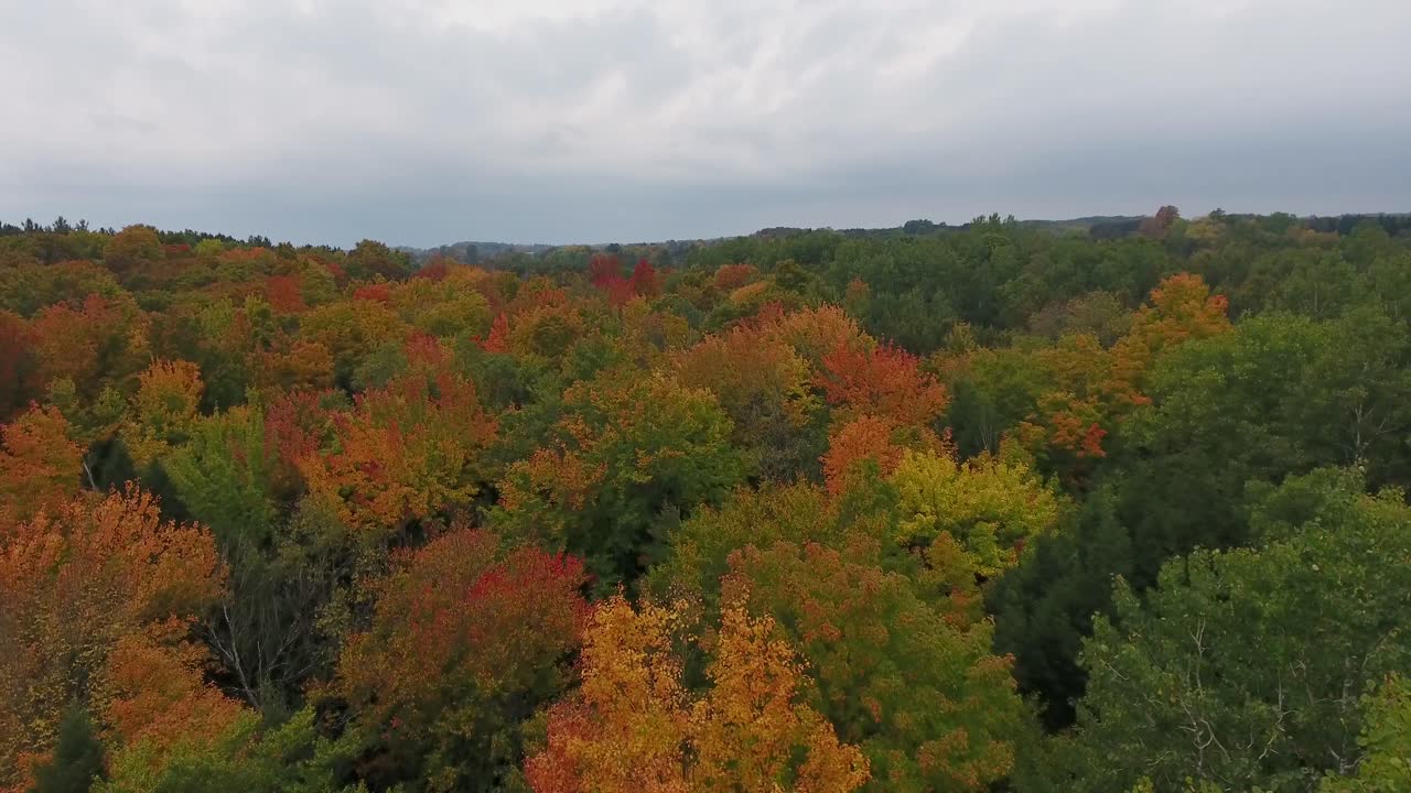 Michigan Aerial Fall Color Flyover