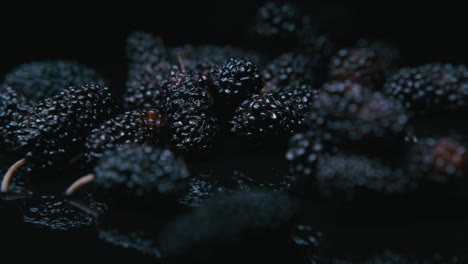 blackberry fruit is very tasty and has a lot of nutritional value