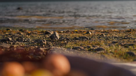 blurred basket with food on beach of sea. having picnic in peace with nature at sunset on autumn day. enjoying holiday on bank overlooking river