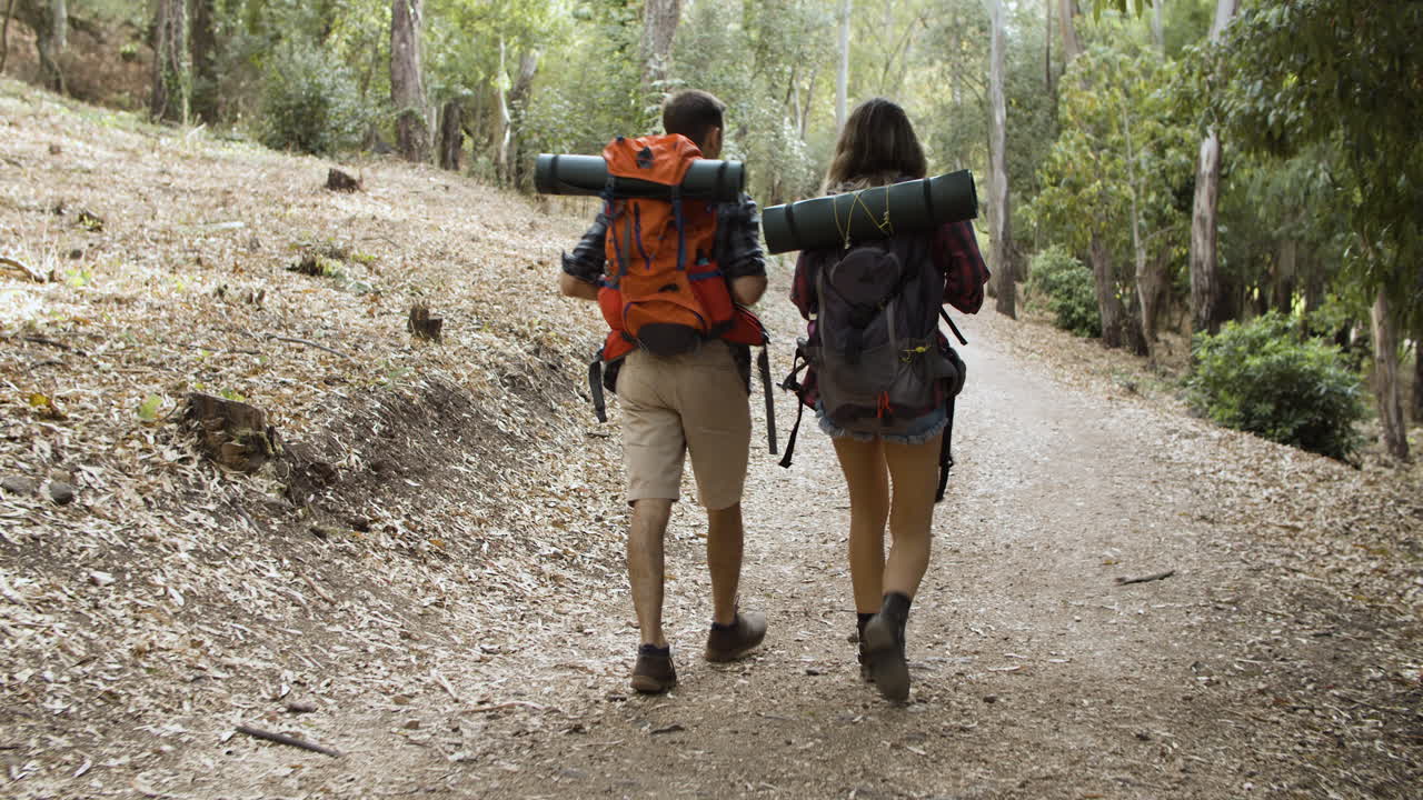 캠핑을 위해 숲 속을 걷는 배낭을 메고 활동적인 여행자