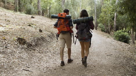 active travelers with backpacks walking in woods for camping