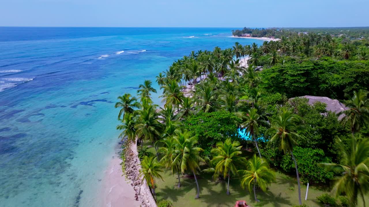 Sobrevôo aéreo de palmeiras tropicais, praia de areia e água cristalina do Mar do Caribe sob a luz do sol - PLAYA GUAYACANES, República Dominicana