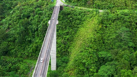 菲律賓南部萊特省索戈德 (sogod) 的阿加斯-阿加斯橋 (agas-agas bridge) - - 在綠色樹木和草地覆蓋的山上坐落的長長混凝土梁橋上穿過的車輛 - - 無人機拍攝