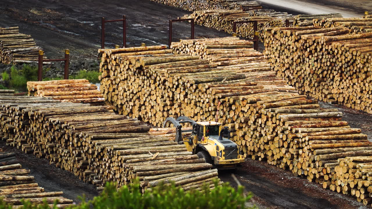 Heavy equipment moving logs in storage area, view from above