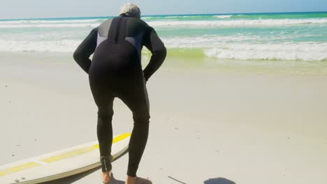 vista trasera de un surfista caucásico activo relajándose en la playa bajo el sol 4k