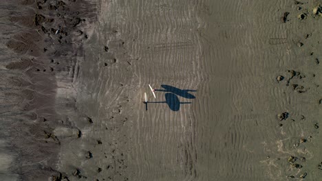 amigos caminando por la playa con tablas de surf proyectando sombras