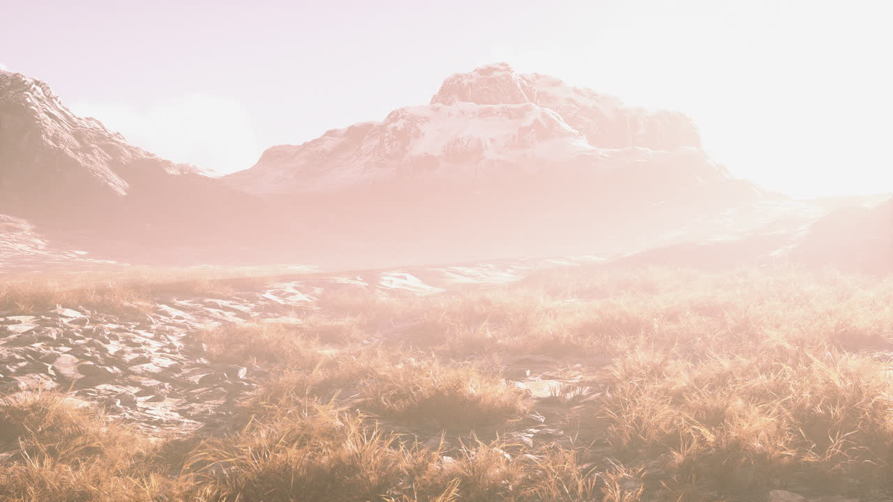 네팔의 밝은 하늘 아래 풀과 모스로  ⁇ 인 돌