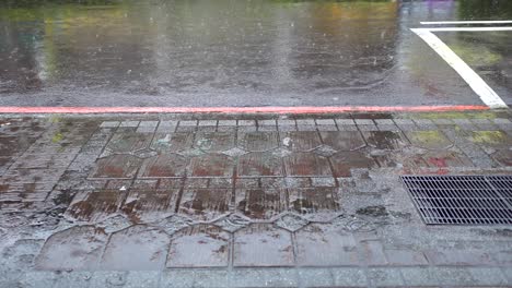 el camino en el día de fuerte lluvia.