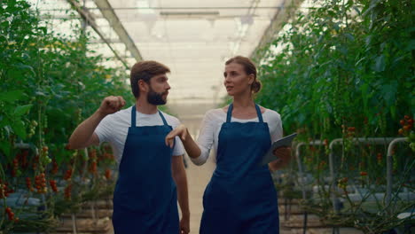 Dos-Agricultores-De-Agronomía-Inspeccionan-La-Cosecha-De-Hortalizas-En-Una-Plantación-De-Tomates.