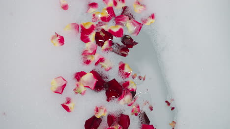 close-up of red rose petals floating in a white bathtub filled with bubbles