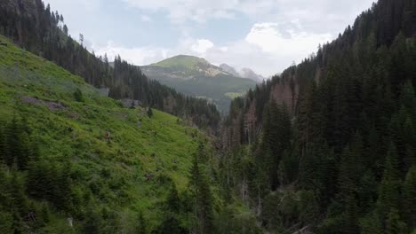 majestic mountain valley overgrown with dense forest, aerial drone view