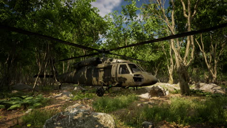 military helicopter in deep jungle