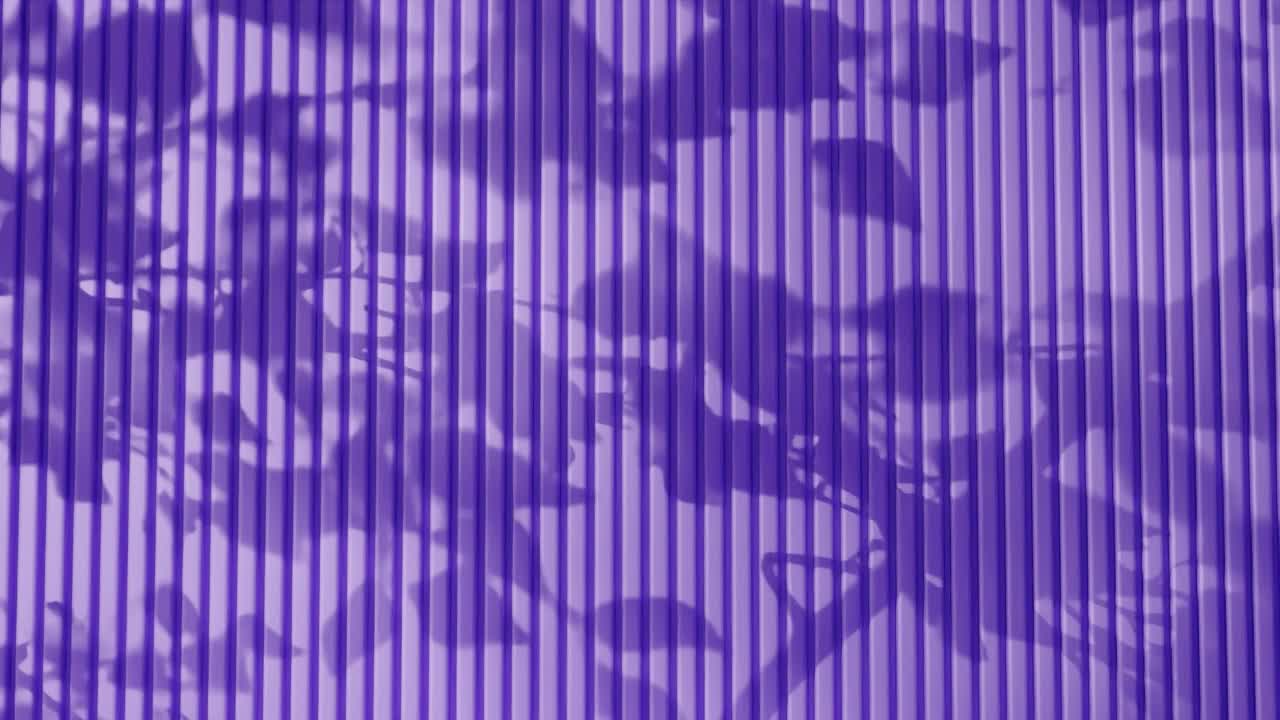 Shadow of tree branches and leaves on vertical purple corrugated metal wall. Abstract natural light and linear pattern background. Design for wallpaper, banner, postcard, greeting card, header.