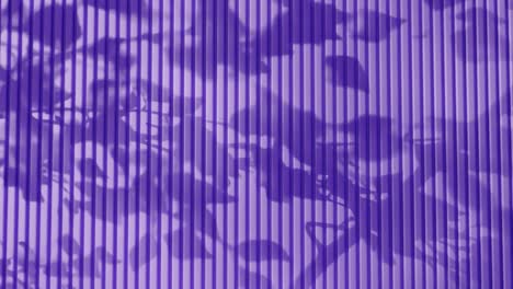shadow of tree branches and leaves on vertical purple corrugated metal wall. abstract natural light and linear pattern background. design for wallpaper, banner, postcard, greeting card, header.
