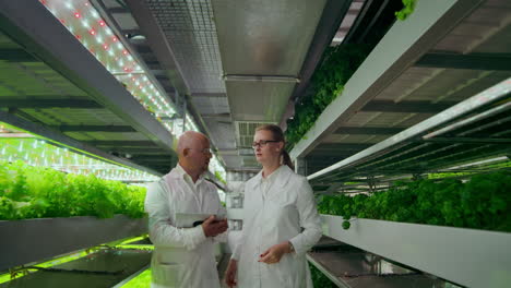 quality control engineers with tablet computer walking through modern greenhouse examining and discussing vegetable production