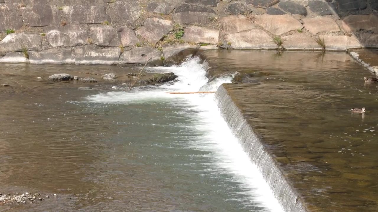 Een groothoekopname toont vers rivierwater dat over een stenen stuw stroomt bij helder daglicht.