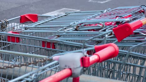 filas de carros de compras ordenadamente dispuestos