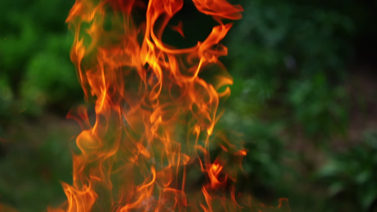 Fire background. Large vivid flame from bonfire glowing on blur nature background. Orange fire flame and smoke. Close-up. Slow motion.