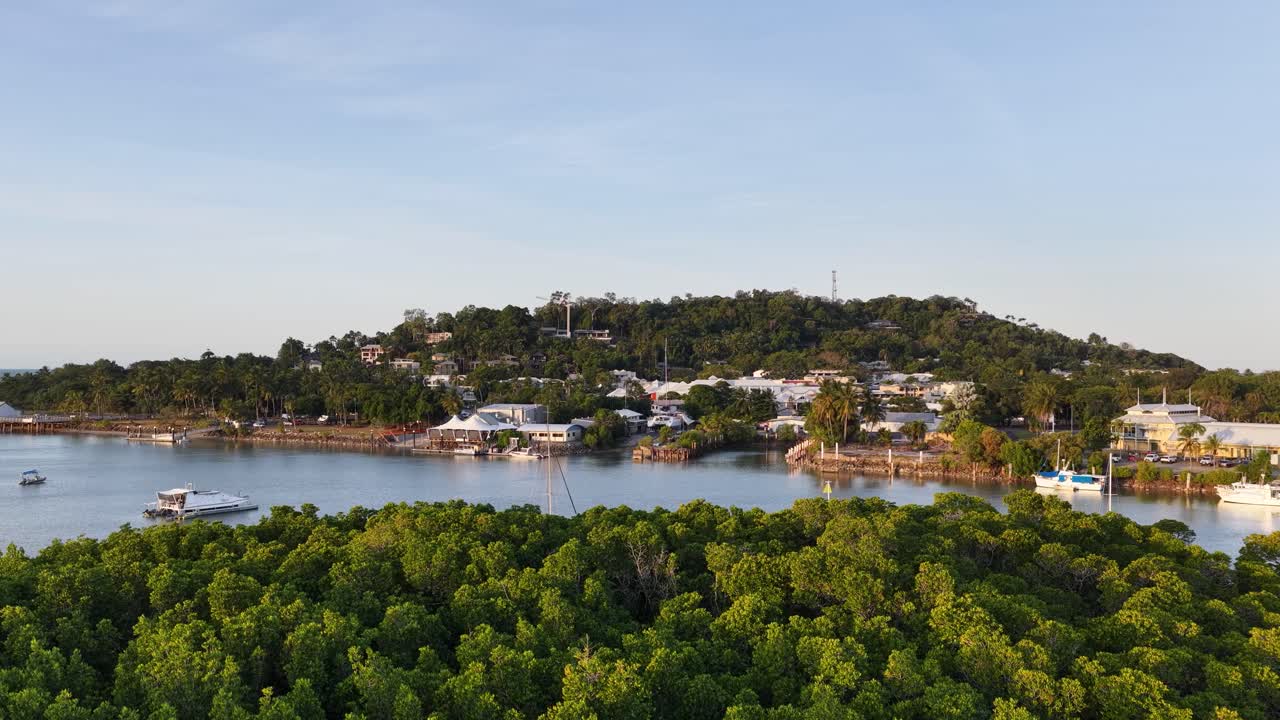 Drone footage captures lush mangroves, a serene river, and vibrant birdlife in Port Douglas, Australia, under soft morning light