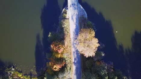 Small-lake-surrounded-by-trees