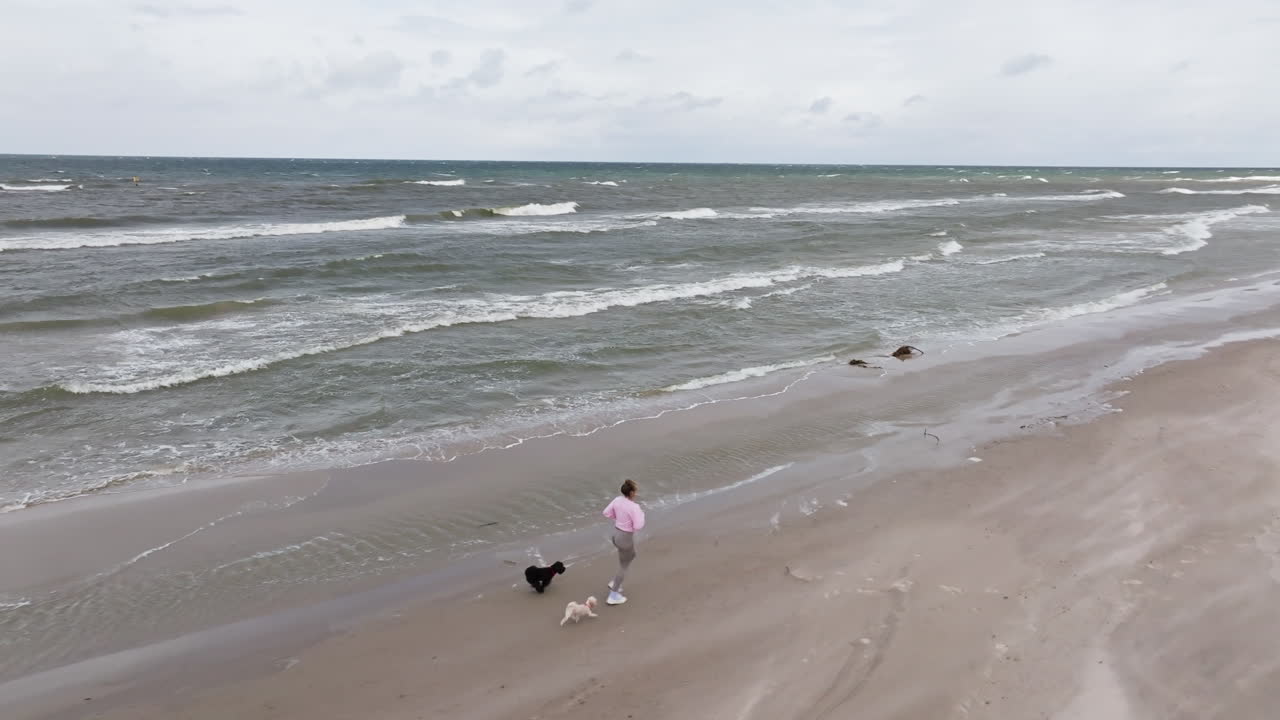 Woman jogs with two small dogs along sandy beach with overcast skies and gentle surf in windy conditions