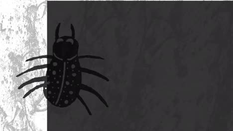 animation of halloween insect over moving white and grey background