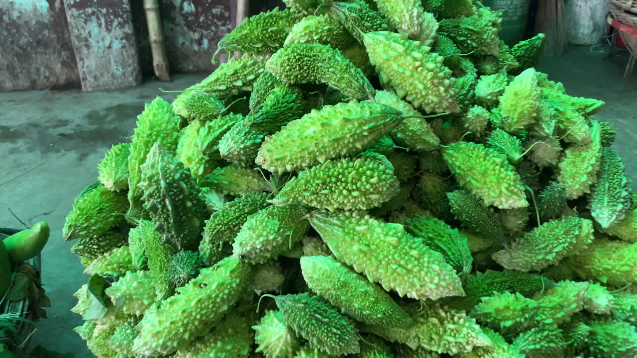 쓰라린 멜론 돌리의 근접 촬영은 많은 것을 보여줍니다