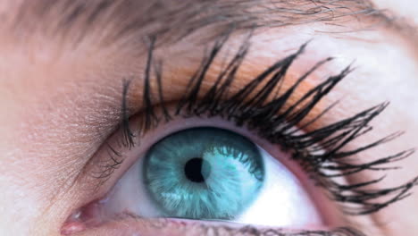 primer plano de un ojo gris femenino contra un fondo blanco