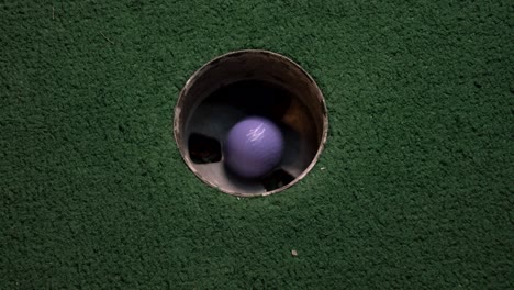 a close up birds eye view of a purple mini golf ball falls into the golf hole and bounces in the pocket on a course