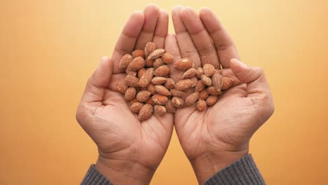 primer plano de nueces de almendra en la mano del hombre