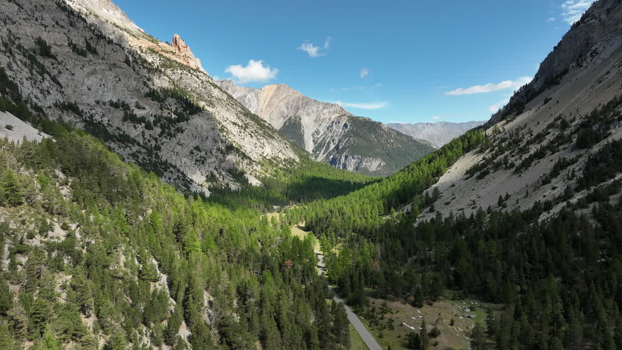 Strada tortuosa in una mattina con pecore a riposo nelle Alpi francesi, vista aerea