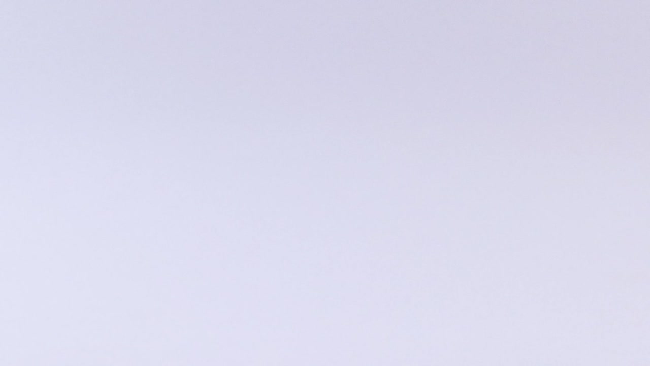 Tennis Ball on a White Background