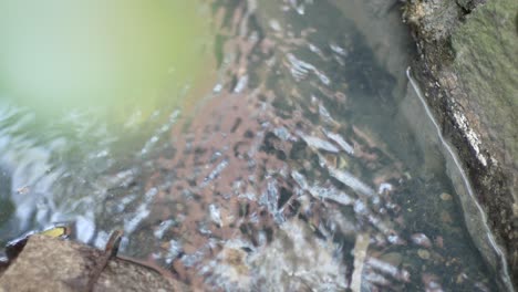 agua que fluye en una zanja