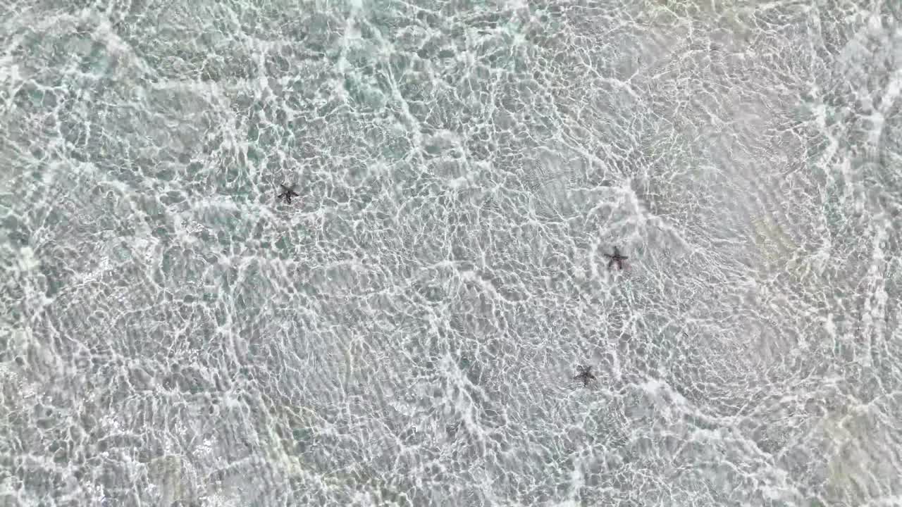 Several starfish are visible beneath the clear, shallow waters at Candaraman Sand Bar, Balabac, Palawan, Philippines, revealing the pristine conditions and marine life in this tropical paradise
