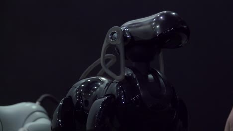 el perro robot negro.