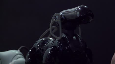 black robot dog