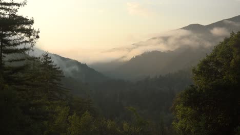 Good-Establishing-Shot-Of-Big-Sur-Valley-Shrouded-In-Fog,-Along-The-California-Coast