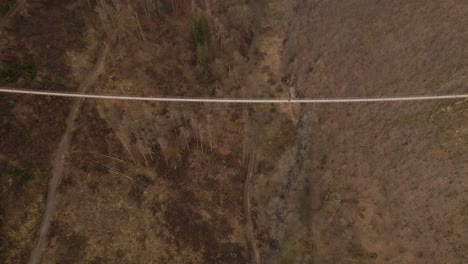 aerial high angle reveal shot of a tourist crossing germany's longest suspension bridge on a dry winter day