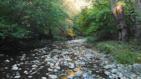 Low-drone-speed-flight-over-small-river-at-sunset