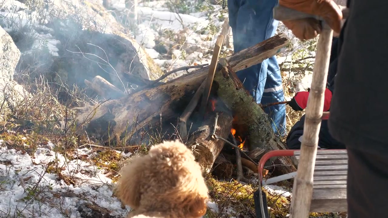 Family starting a campfire in the forest in winter, close shot